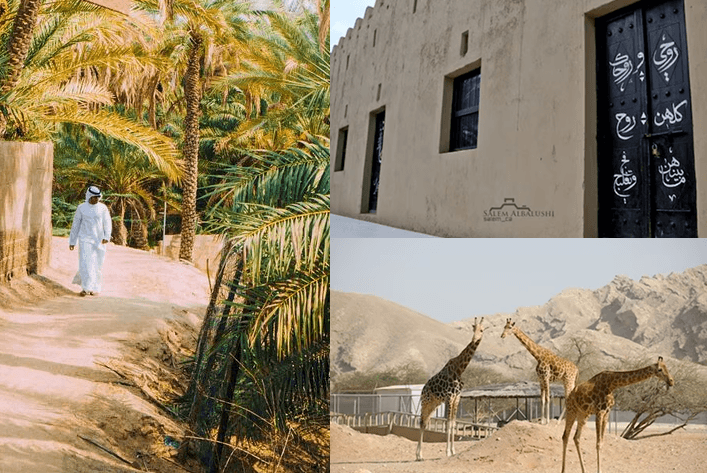 العنوان الرئيسي
